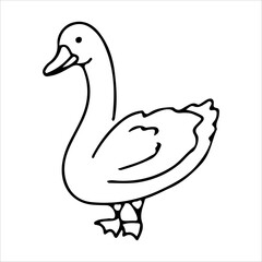 Goose Line. Duck. Domestic birds. Cute animal. Livestock, animal, Farming. Farm. Vector illustration isolated on white background.