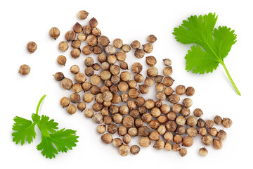 Dried coriander seeds with fresh green leaf isolated on white background. Top view. Flat lay