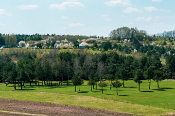 Fototapeta na wymiar krajobraz widoczek wiosna drzewa zieleń
