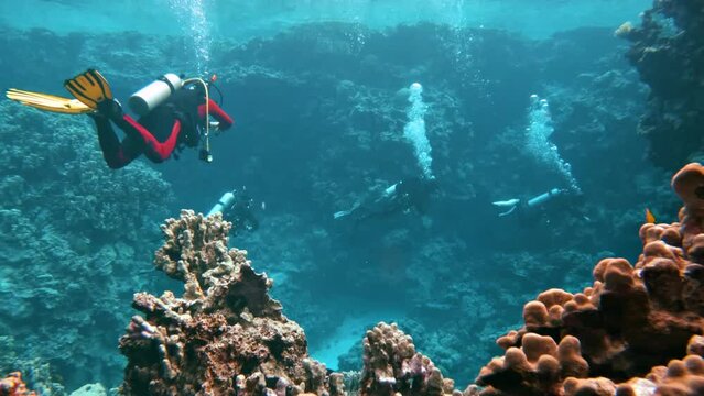 Diving in a coral canyon or cave with a group of divers in the red sea in egypt, slow-motion
