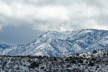 Fresh snow on the Santa Catalina Mountains in Arizona