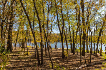 Fall colors on the Saint Croix River in Stillwater Minnesota at the Old Boom Site
