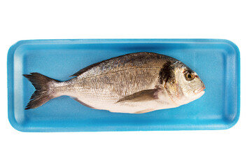 Gilthead raw fish in a styrofoam container at the supermarket. Isolated on white background. - 597889565