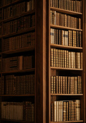 Classic bookshelf in natural light