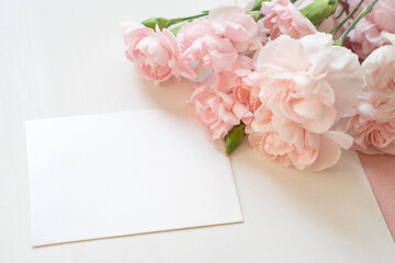 カーネーション　母の日ボタニカルフレーム