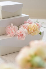 カーネーションとインテリア雑貨