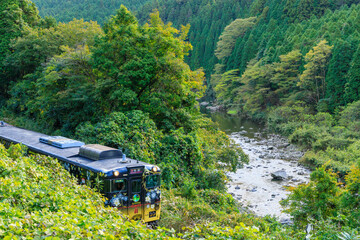 Fototapeta premium 深緑の静かな渓谷を走る播但線うみやまむすび気動車