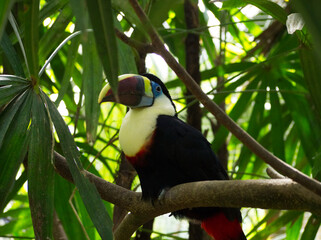 OLYMPUS DIGITAL CAMERA
ISO-2000
f/5
1/160 sec.