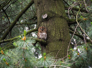 OLYMPUS DIGITAL CAMERA
ISO-1600
f/5.6
1/250 sec.