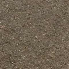 A grainy and sandy texture with beach sand and gritty soil5, Generative AI