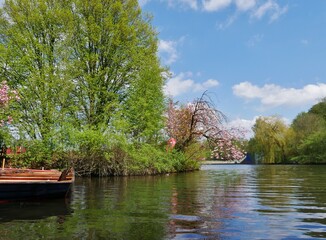 Obraz premium Liebesinsel im Hamburger Stadtpark im Frühjahr