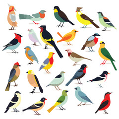 Colorful birds set vector illustration isolated on white