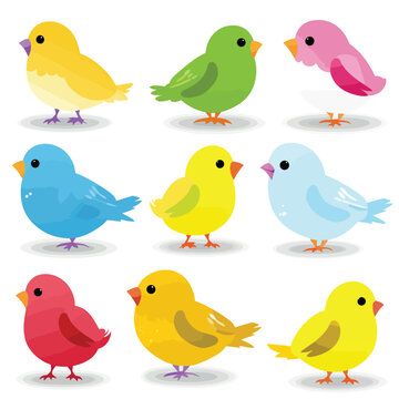 Colorful birds set vector illustration isolated on white