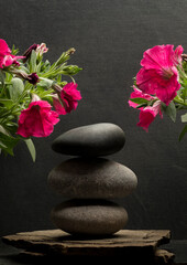stones and flowers for podium background.stack of zen stones on dark background with shadows and...