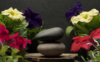 a stack of zen stones on a dark background with bright multi-colored flowers for a product presentation background podium