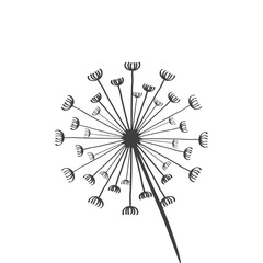 abstract black and white background. 
dandelion. simple vector illustration. black and white icon and logo. flower. plants