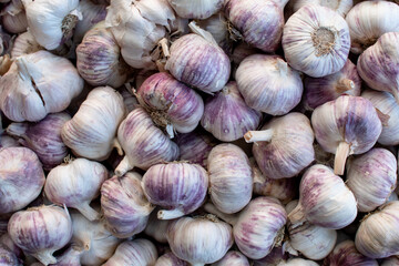 ajo fotografiado rellenando el encuadre