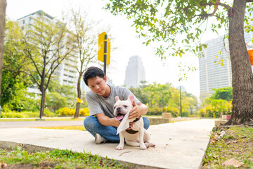 Asian man wipes his french bulldog breed with wet towel during walking together at pets friendly...