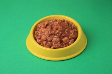 Wet pet food in feeding bowl on green background