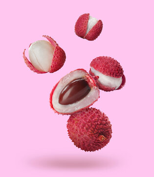 Many fresh lychees falling on pink background