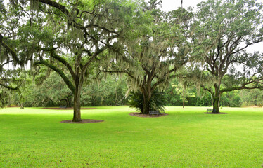 Fototapeta na wymiar The pastoral scene is typical of the countryside seen in Lake wales in Florida