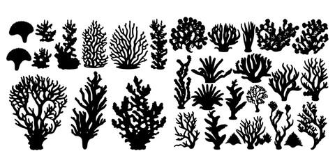 coral silhouettes