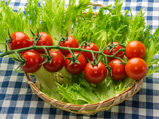 新鮮でおいしいミニトマト