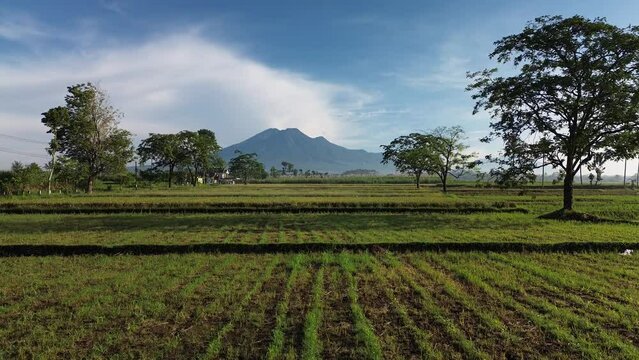 aerial video view of Mount Kawi in the morning