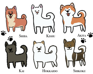 Obraz na płótnie Canvas 日本犬