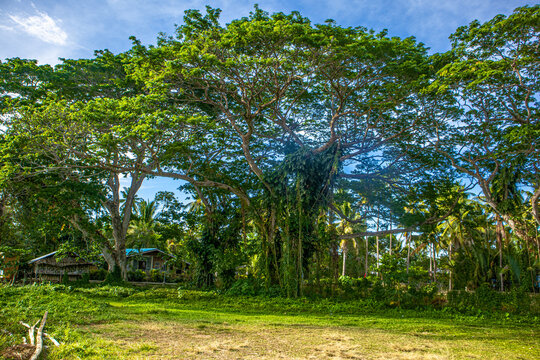 Guimaras Island Philippines