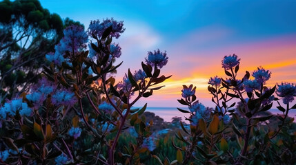 Obraz na płótnie Canvas sunset in the field. Generative Ai