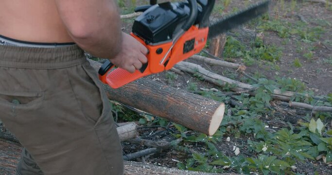 process of utting wood with chainsaw in the garden or forest close up cropped slow motion video . Lack of heating.