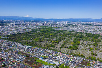 都立多磨霊園・多磨霊園上空から富士山を望む・2023撮影・空撮