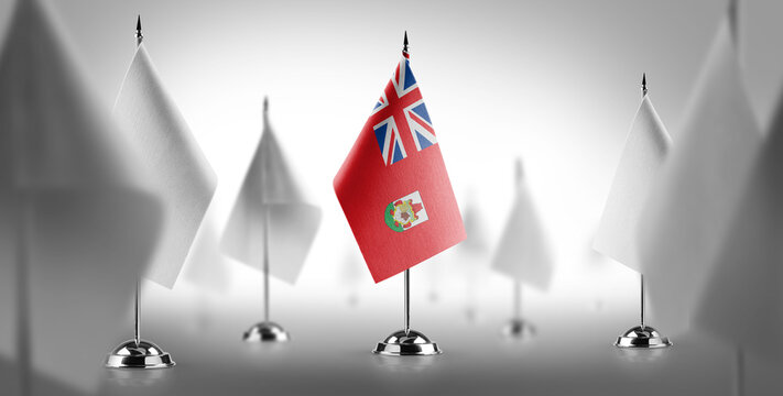 The national flag of the Bermuda surrounded by white flags