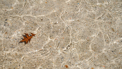 Korea image