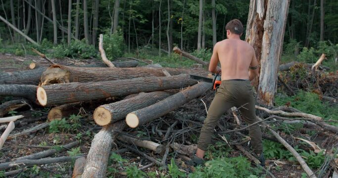 back rare view o shirtless sexy forester cuts wood with a woodcutter to split the logs into small pieces slow motion