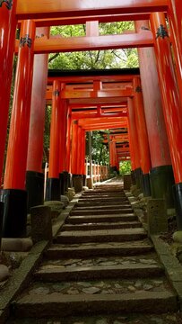 【縦型動画】京都の伏見稲荷大社の鳥居の中を歩く風景　スローモーション　ジンバル使用