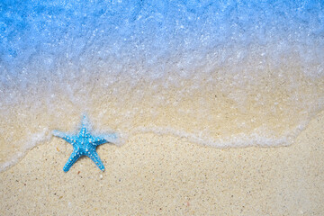 Fototapeta na wymiar Starfish on sandy beaches and stunning blue sea waves on the Andaman Islands. 