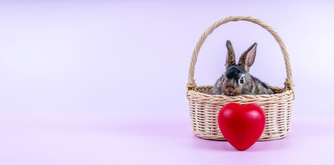 Cute easter little bunny brown rabbit sitting in the basket and front to red heart, over pink...
