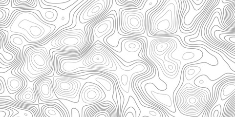 Obraz premium Abstract topography and geography grid background. Business concept. Abstract weather map. Topographic map lines, contour background. Vector illustration. wave Line topography map contour background .