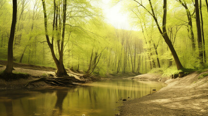 Fototapeta na wymiar a forest with a river, generative ai
