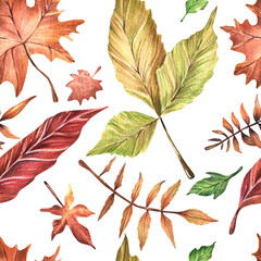 Seamless watercolor pattern. Autumn red, yellow, orange leaves on a white background. Leaf fall, forest. Design for wrapping paper.