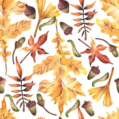 Seamless watercolor pattern. Hand drawn ginkgo leaves, yellow and red leaves and acorns on a white background. Autumn, leaf fall, forest. Design for wrapping paper.