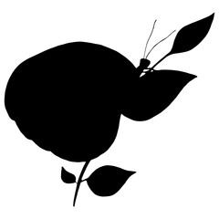 Butterfly Black Silhouette. Isolated Vector Illustration on White Background. Monochrome Butterfly Silhouette.