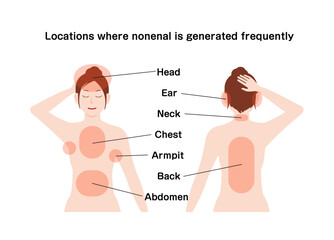 Locations where nonenal (Cause of  old person smell ) is generated frequently. Vector illustration.