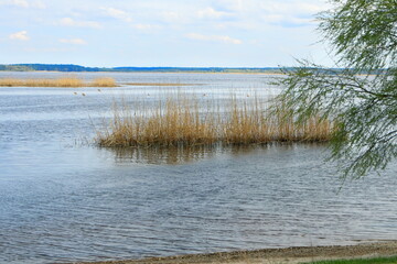 Early spring at the lake.