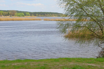 Early spring at the lake.