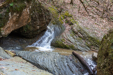 Spring forest, natural park the sources of the mountain river carrying their waters to the big river.