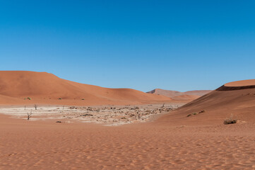 Fototapeta na wymiar Wide angle view of the red sanddunes of the namibian deadvlei area.