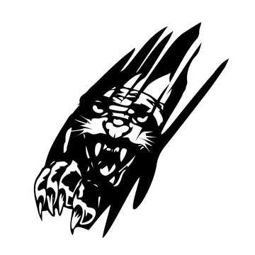 Panther scratch vector
